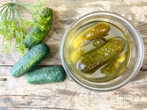 Gurken fermentieren mit ganz wenig Aufwand