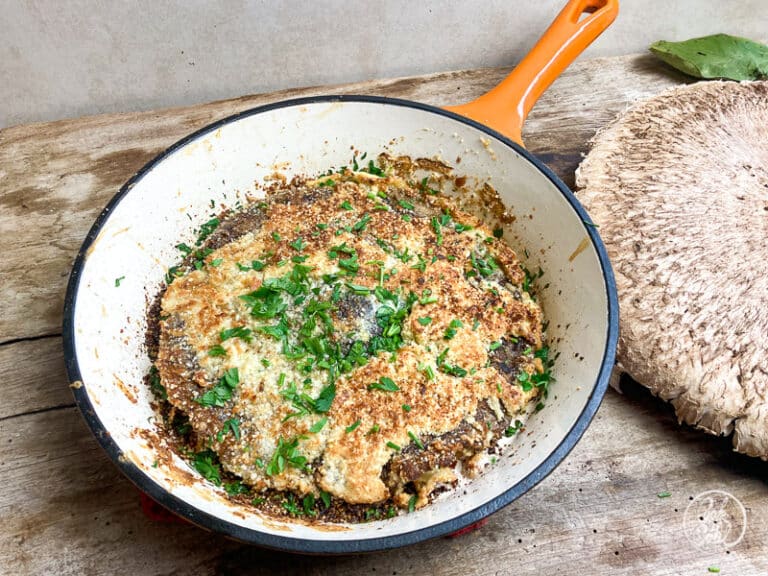 Pilze zubereiten: Tipps&amp;Tricks und tolle Rezepte – Cook &amp; Soul