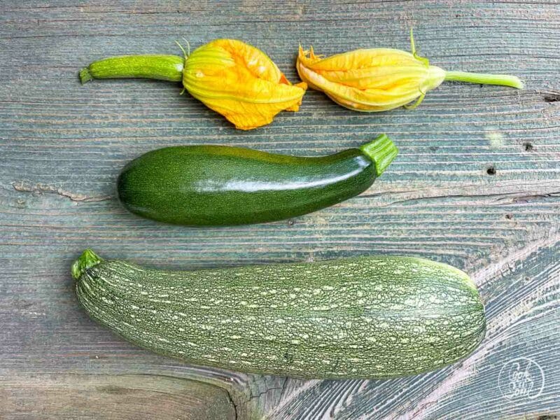 Zucchini Rezepte