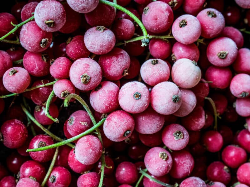 Johannisbeeren einfrieren, lagern und haltbar machen